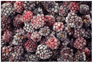 Frozen Blackberry — Frutas DM S.A.